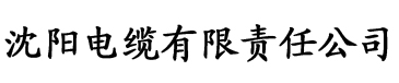 91香蕉视频免费版电缆厂logo